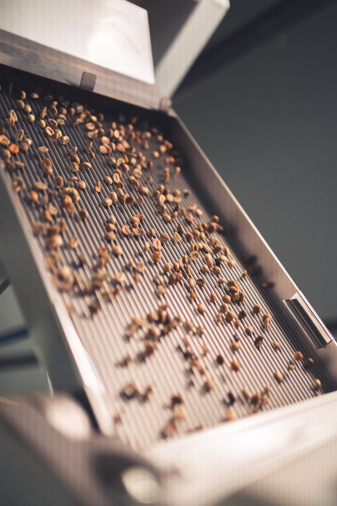 Mesa de classificação de grãos verdes na unidade Ornatto